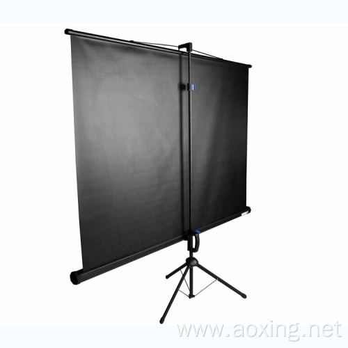 Portable Fast Fold Standard Tripod budget Screen